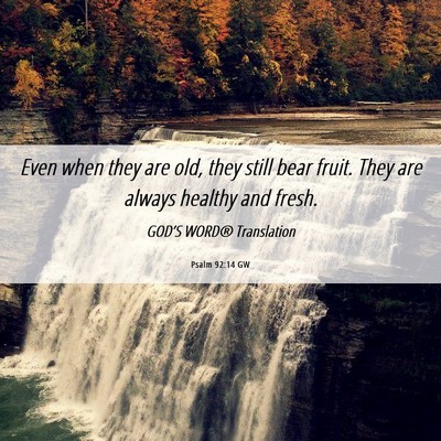 Picture 06 - Psalm 92:14 GW - Even when they are old, they still bear fruit. - Bible Verse Picture