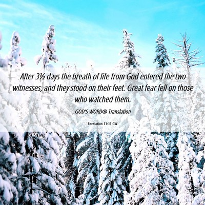 Picture 06 - Revelation 11:11 GW - After 3½ days the breath of life from God - Bible Verse Picture