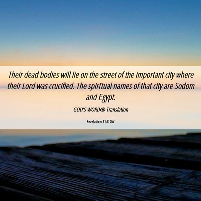 Picture 06 - Revelation 11:8 GW - Their dead bodies will lie on the street of the - Bible Verse Picture