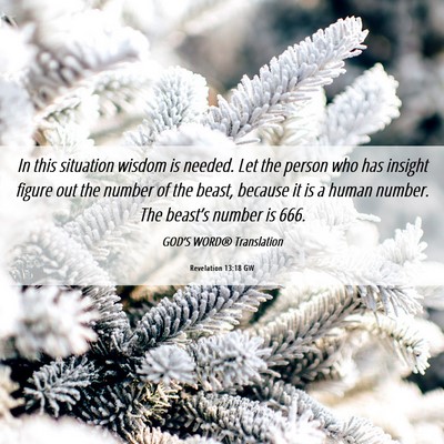 Picture 06 - Revelation 13:18 GW - In this situation wisdom is needed. Let the - Bible Verse Picture
