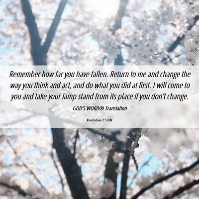 Picture 06 - Revelation 2:5 GW - Remember how far you have fallen. Return to me - Bible Verse Picture