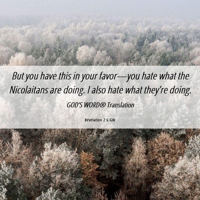 Picture 06 - Revelation 2:6 GW - But you have this in your favor—you hate what - Bible Verse Picture