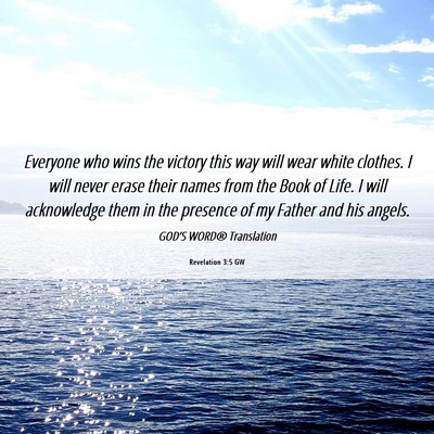 Picture 06 - Revelation 3:5 GW - Everyone who wins the victory this way will wear - Bible Verse Picture