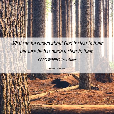 Picture 06 - Romans 1:19 GW - What can be known about God is clear to them - Bible Verse Picture