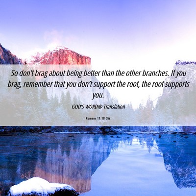 Picture 06 - Romans 11:18 GW - So don’t brag about being better than the other - Bible Verse Picture