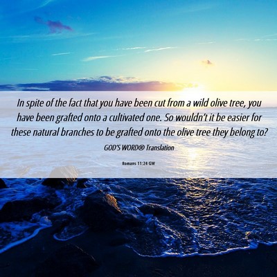 Picture 06 - Romans 11:24 GW - In spite of the fact that you have been cut from - Bible Verse Picture