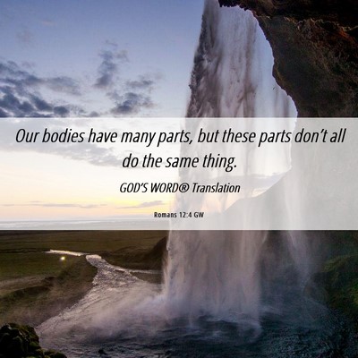 Picture 06 - Romans 12:4 GW - Our bodies have many parts, but these parts - Bible Verse Picture