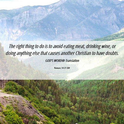 Picture 06 - Romans 14:21 GW - The right thing to do is to avoid eating meat, - Bible Verse Picture