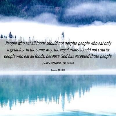 Picture 06 - Romans 14:3 GW - People who eat all foods should not despise - Bible Verse Picture
