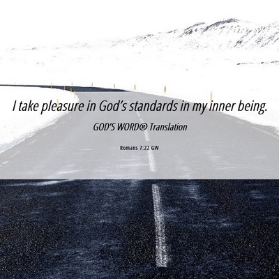 Picture 06 - Romans 7:22 GW - I take pleasure in God’s standards in my inner - Bible Verse Picture