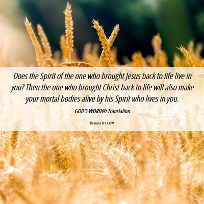Picture 06 - Romans 8:11 GW - Does the Spirit of the one who brought Jesus back - Bible Verse Picture