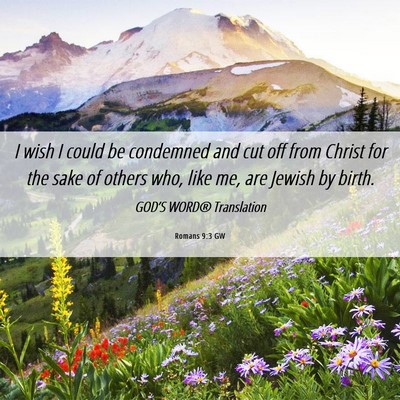 Picture 06 - Romans 9:3 GW - I wish I could be condemned and cut off from - Bible Verse Picture