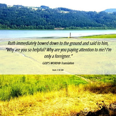 Picture 06 - Ruth 2:10 GW - Ruth immediately bowed down to the ground and - Bible Verse Picture