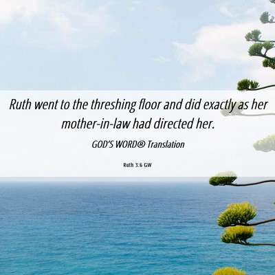 Picture 06 - Ruth 3:6 GW - Ruth went to the threshing floor and did exactly - Bible Verse Picture