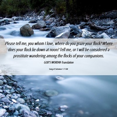 Picture 06 - Song of Solomon 1:7 GW - Please tell me, you whom I love, where do you - Bible Verse Picture