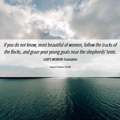 Picture 06 - Song of Solomon 1:8 GW - If you do not know, most beautiful of women, - Bible Verse Picture