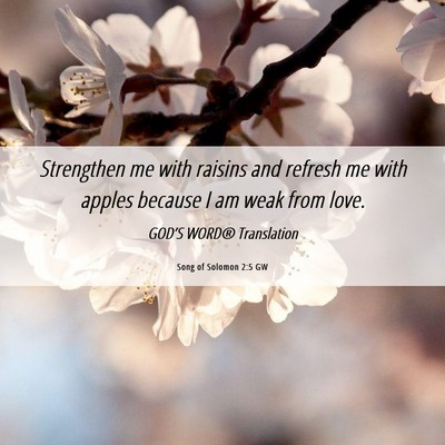 Picture 06 - Song of Solomon 2:5 GW - Strengthen me with raisins and refresh me with - Bible Verse Picture
