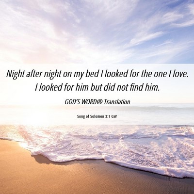 Picture 06 - Song of Solomon 3:1 GW - Night after night on my bed I looked for the one - Bible Verse Picture