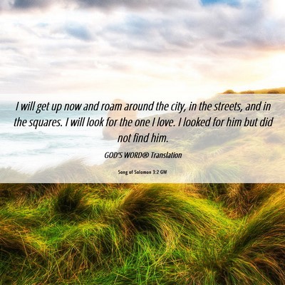 Picture 06 - Song of Solomon 3:2 GW - I will get up now and roam around the city, in - Bible Verse Picture