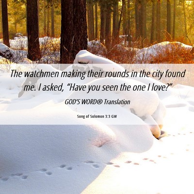Picture 06 - Song of Solomon 3:3 GW - The watchmen making their rounds in the city - Bible Verse Picture