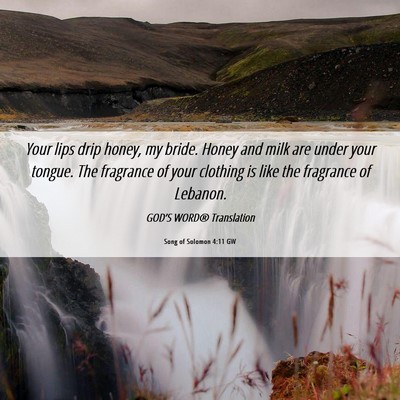 Picture 06 - Song of Solomon 4:11 GW - Your lips drip honey, my bride. Honey and milk - Bible Verse Picture