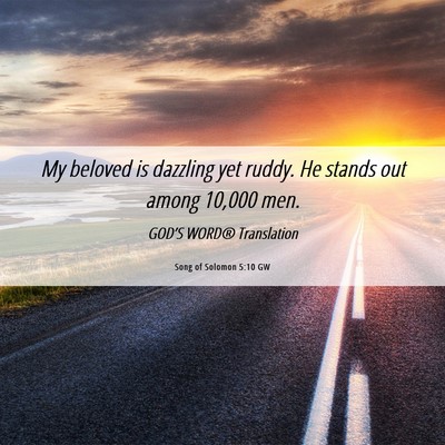 Picture 06 - Song of Solomon 5:10 GW - My beloved is dazzling yet ruddy. He stands out - Bible Verse Picture