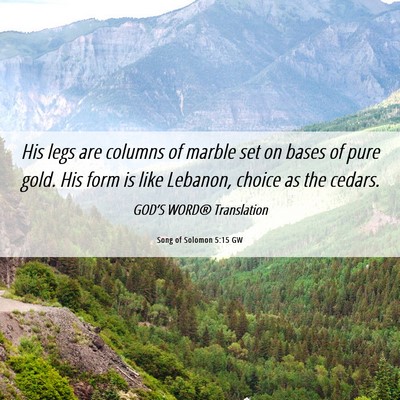 Picture 06 - Song of Solomon 5:15 GW - His legs are columns of marble set on bases of - Bible Verse Picture