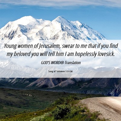 Picture 06 - Song of Solomon 5:8 GW - Young women of Jerusalem, swear to me that if you - Bible Verse Picture