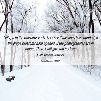 Picture 06 - Song of Solomon 7:12 GW - Let’s go to the vineyards early. Let’s see if - Bible Verse Picture