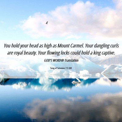 Picture 06 - Song of Solomon 7:5 GW - You hold your head as high as Mount Carmel. Your - Bible Verse Picture