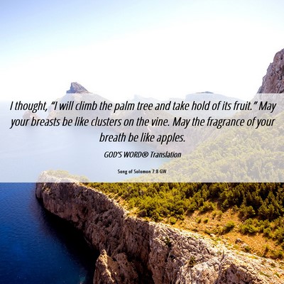 Picture 06 - Song of Solomon 7:8 GW - I thought, “I will climb the palm tree and take - Bible Verse Picture