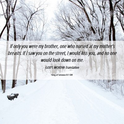 Picture 06 - Song of Solomon 8:1 GW - If only you were my brother, one who nursed at my - Bible Verse Picture