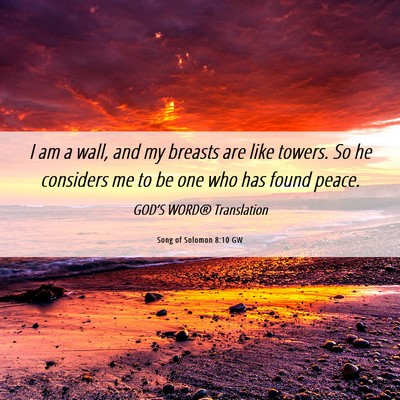 Picture 06 - Song of Solomon 8:10 GW - I am a wall, and my breasts are like towers. So - Bible Verse Picture