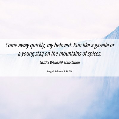 Picture 06 - Song of Solomon 8:14 GW - Come away quickly, my beloved. Run like a gazelle - Bible Verse Picture