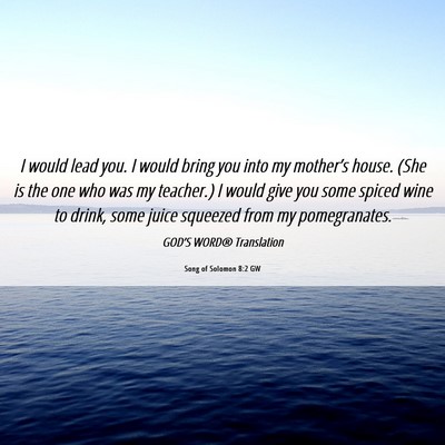 Picture 06 - Song of Solomon 8:2 GW - I would lead you. I would bring you into my - Bible Verse Picture
