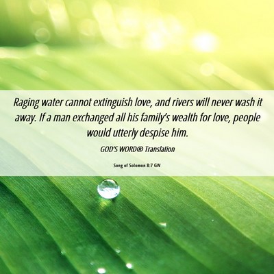 Picture 06 - Song of Solomon 8:7 GW - Raging water cannot extinguish love, and rivers - Bible Verse Picture