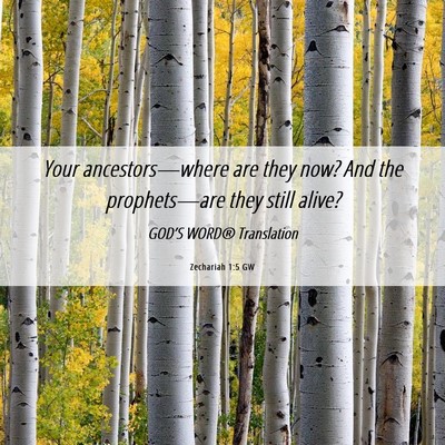 Picture 06 - Zechariah 1:5 GW - Your ancestors—where are they now? And the - Bible Verse Picture