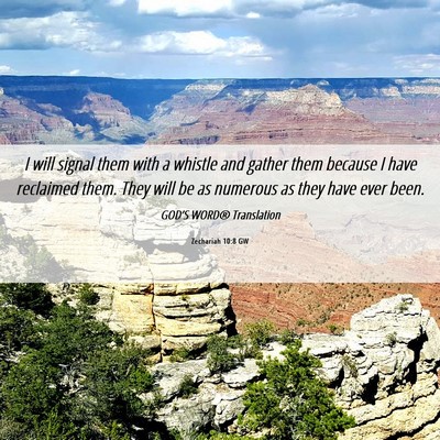 Picture 06 - Zechariah 10:8 GW - I will signal them with a whistle and gather them - Bible Verse Picture