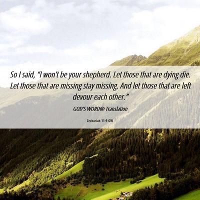 Picture 06 - Zechariah 11:9 GW - So I said, “I won’t be your shepherd. Let - Bible Verse Picture