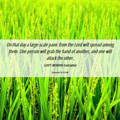 Picture 06 - Zechariah 14:13 GW - On that day a large-scale panic from the Lord - Bible Verse Picture