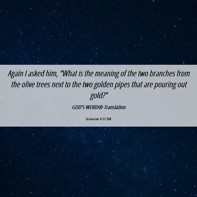 Picture 06 - Zechariah 4:12 GW - Again I asked him, “What is the meaning of the - Bible Verse Picture