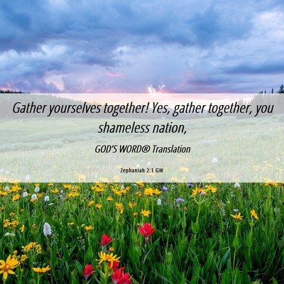 Picture 06 - Zephaniah 2:1 GW - Gather yourselves together! Yes, gather together, - Bible Verse Picture