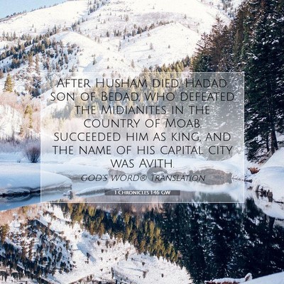 Picture 07 - 1 Chronicles 1:46 GW - After Husham died, Hadad, son of Bedad, who - Bible Verse Picture