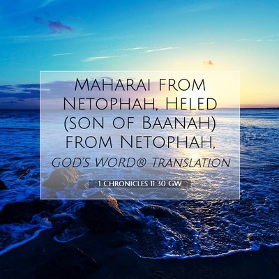 Picture 07 - 1 Chronicles 11:30 GW - Maharai from Netophah, Heled (son of Baanah) from - Bible Verse Picture