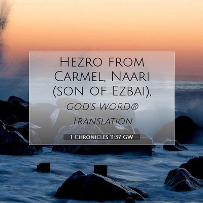 Picture 07 - 1 Chronicles 11:37 GW - Hezro from Carmel, Naari (son of - Bible Verse Picture