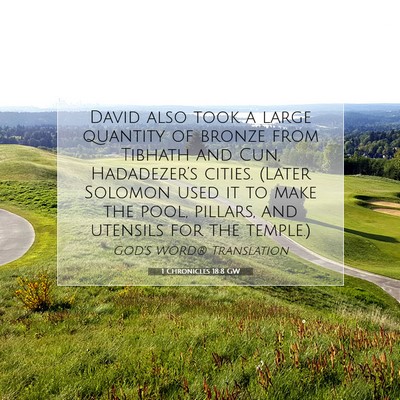 Picture 07 - 1 Chronicles 18:8 GW - David also took a large quantity of bronze from - Bible Verse Picture