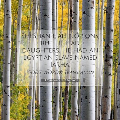 Picture 07 - 1 Chronicles 2:34 GW - Sheshan had no sons, but he had daughters. He had - Bible Verse Picture