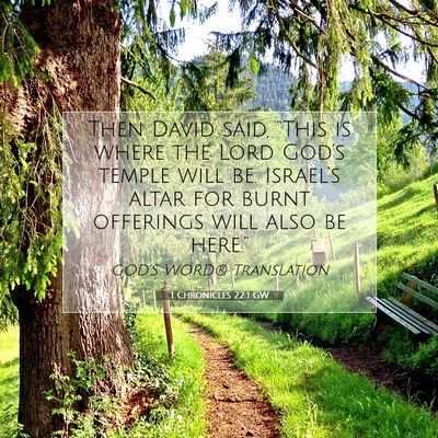 Picture 07 - 1 Chronicles 22:1 GW - Then David said, “This is where the Lord - Bible Verse Picture