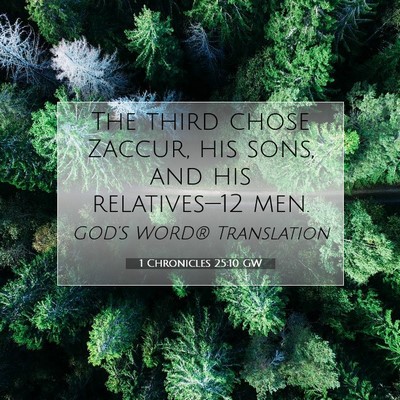 Picture 07 - 1 Chronicles 25:10 GW - The third chose Zaccur, his sons, and his - Bible Verse Picture