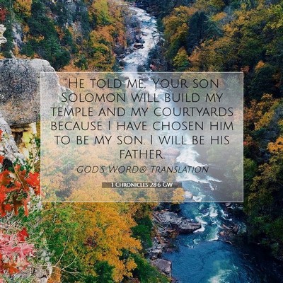 Picture 07 - 1 Chronicles 28:6 GW - “He told me, ‘Your son Solomon will build my - Bible Verse Picture